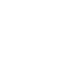 ANG implementeert